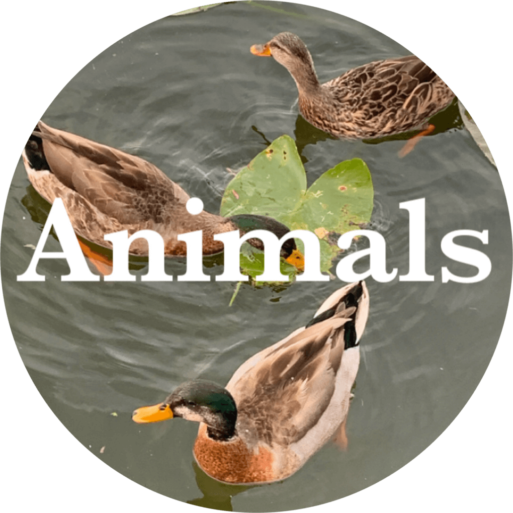 There's A Scripture for That - Main Page 3