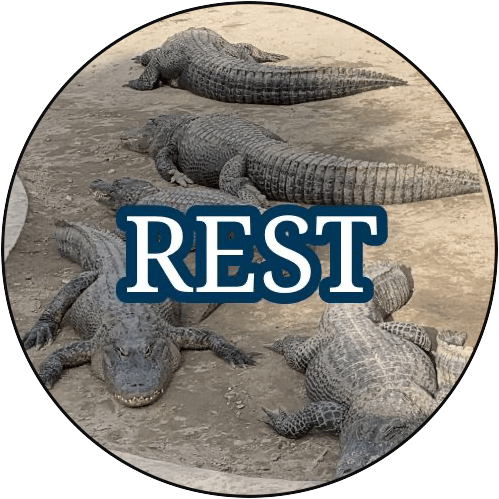 Rest