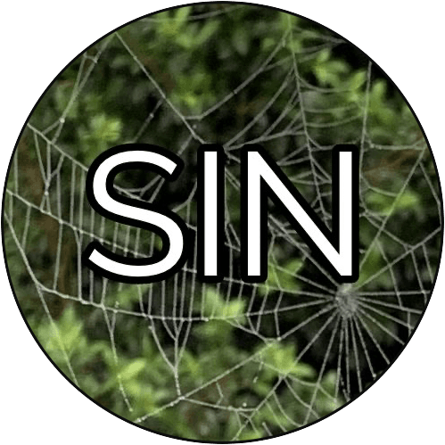 Sin