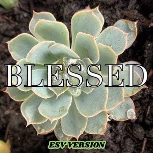 Love - There's A Scripture for That (ESV) Version 4