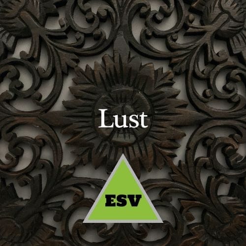 Sex - There's A Scripture for That (ESV) Version 2