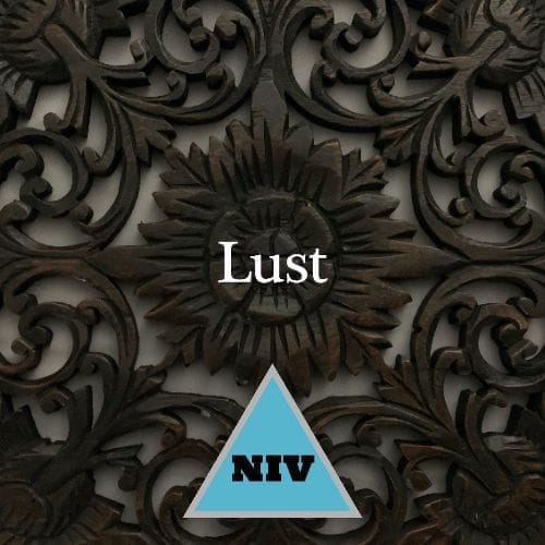 Adultery - There's A Scripture for That (NIV) Version 2