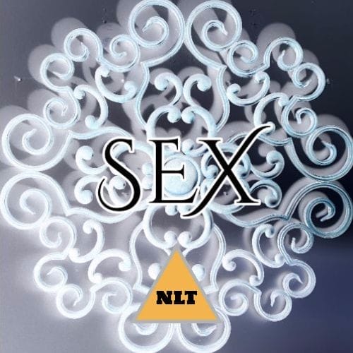 Adultery - There's A Scripture for That (NLT) Version 1