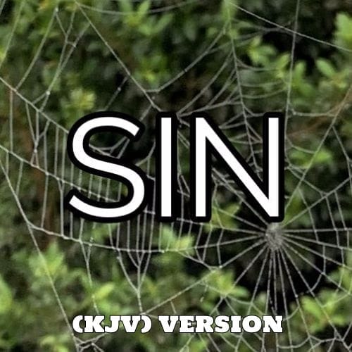 Lust - There's A Scripture for That (KJV) Version 3