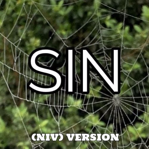 Adultery - There's A Scripture for That (NIV) Version 3
