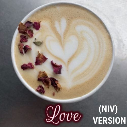 Marriage - There's A Scripture for That (NLT) Version 4