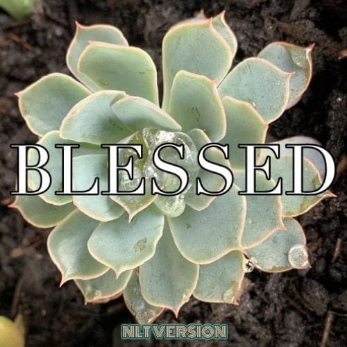Love - There's A Scripture for That (NLT) Version 3