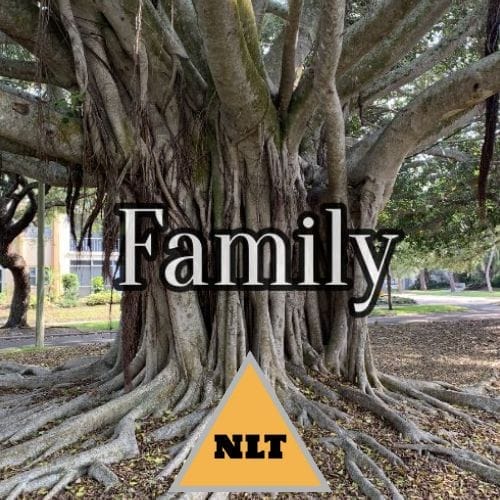 Husbands - There's A Scripture for Them (NLT) Version 2