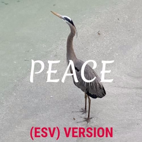 Love - There's A Scripture for That (ESV) Version 1