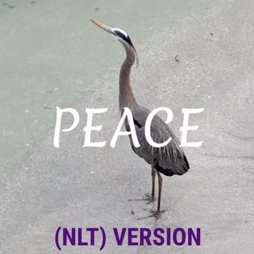 Peace