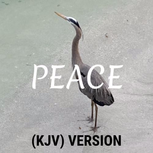 Love - There's A Scripture For That (KJV) Version 1