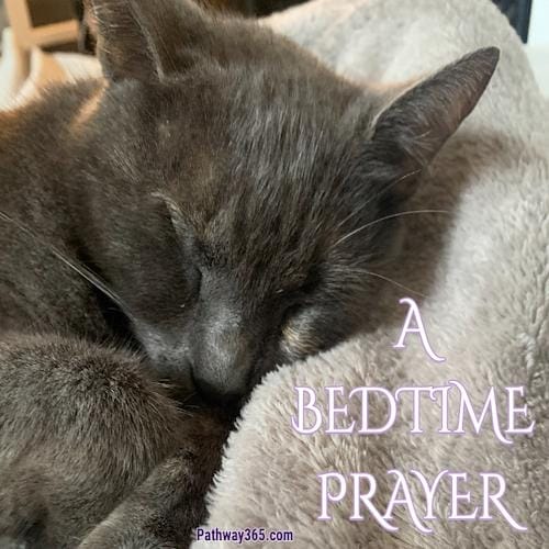 There's A Prayer for That 1