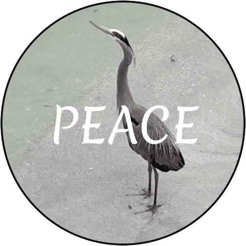 Forgiveness - There's A Scripture for That (NLT) Version 3