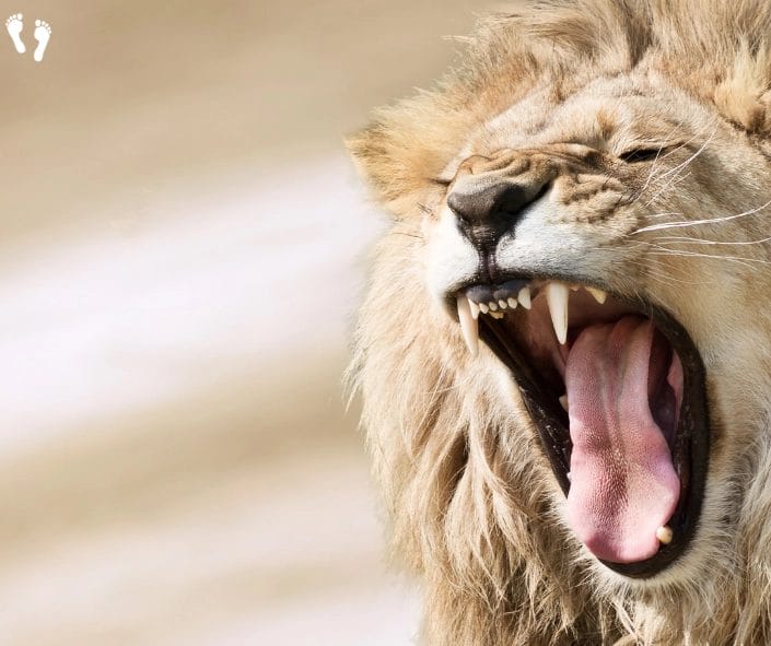 Be Angry and Sin Not 1