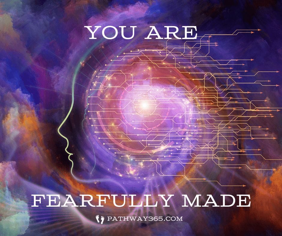 You Are Fearfully Made 12