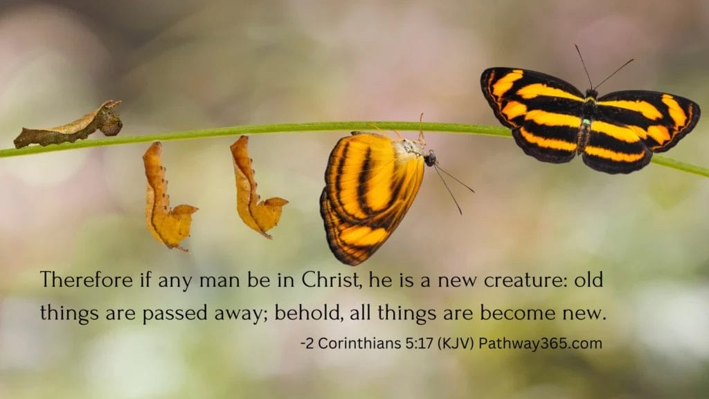 The Evidence of Transformation - Steps Towards Eternity Daily Devotional 10