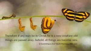 Scripture Pictures Page Fourteen 2