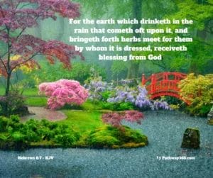 Scripture Pictures Page Twelve 9