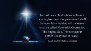 Scripture Pictures Page Eleven 15