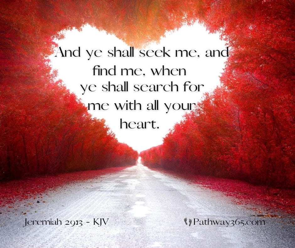 Wholehearted Pursuit - Steps Towards Eternity Daily Devotional 4