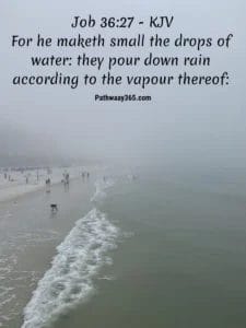 Scripture Pictures Page Eleven 1