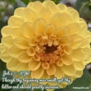 Scripture Pictures Page Eleven 4