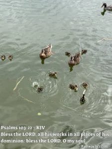 Scripture Pictures Page Five 6