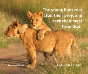 Scripture Pictures Page Two 11