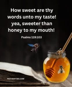 Scripture Pictures Page Two 8