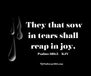 Scripture Pictures Page Three 13