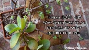 Scripture Pictures Page Five 1