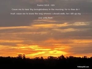 Scripture Pictures Page Four 15