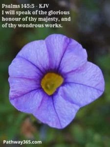 Scripture Pictures Page Four 14