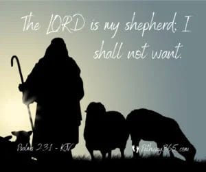 Scripture Pictures Page Four 13