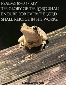 Scripture Pictures Page Two 3