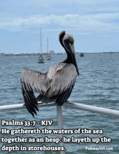 Scripture Pictures Page Two 5