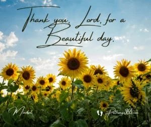 MINDSET PAGE FIVE 16