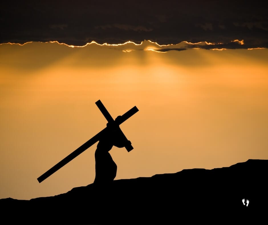 Take Up Your Cross - Steps Towards Eternity Daily Devotional 2