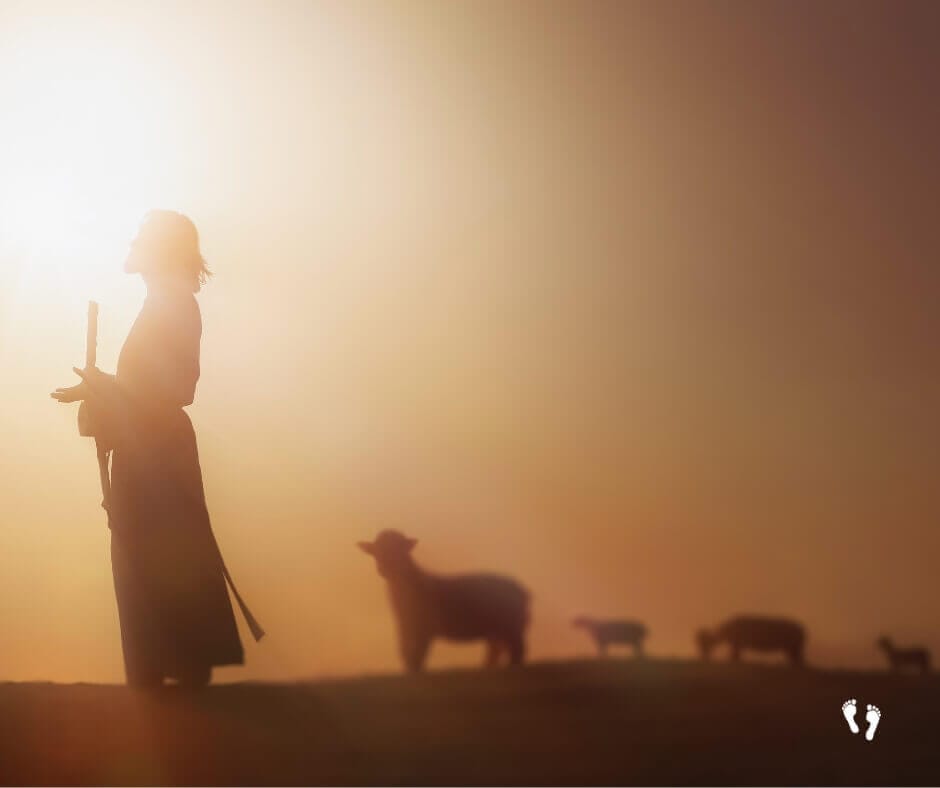 “Hearing the Shepherd’s Voice: Steps Towards Eternity Daily Devotional 8