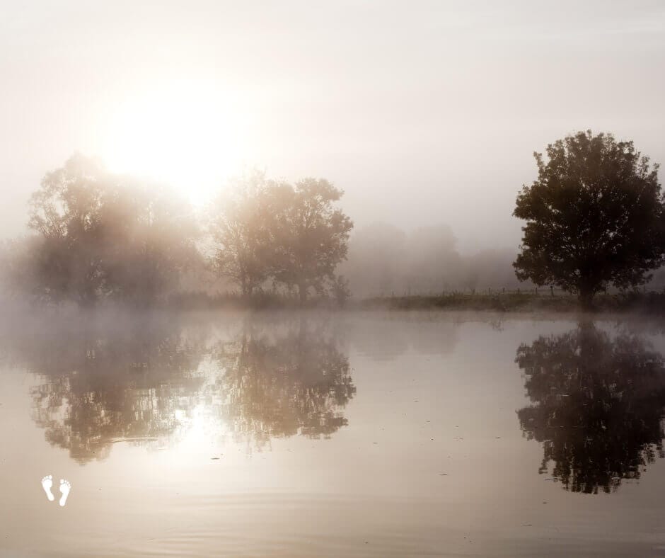 Silence is Wisdom: Guarding Your Peace - Steps Towards Eternity Daily Devotional 12