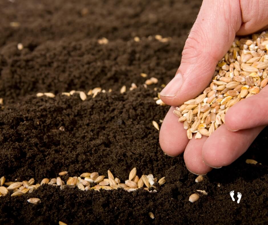 Sowing in Righteousness - Steps Towards Eternity Daily Devotional 9