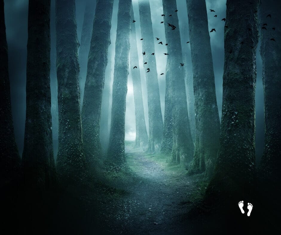 The Path of Righteousness: Steps Towards Eternity Daily Devotional 9