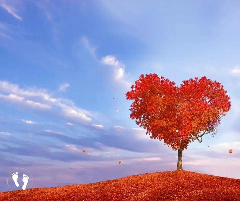 Love Without Dissimulation -Steps Towards Eternity Daily Devotional 10