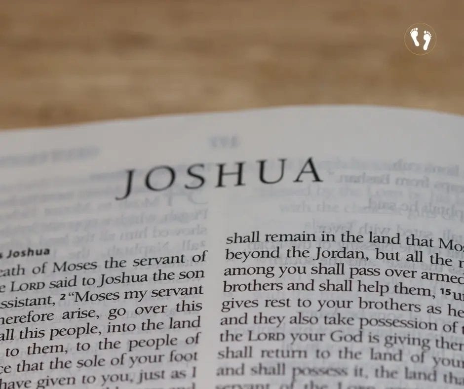 Never Stop Reading Your Bible – Steps Towards Eternity Daily Devotional 11