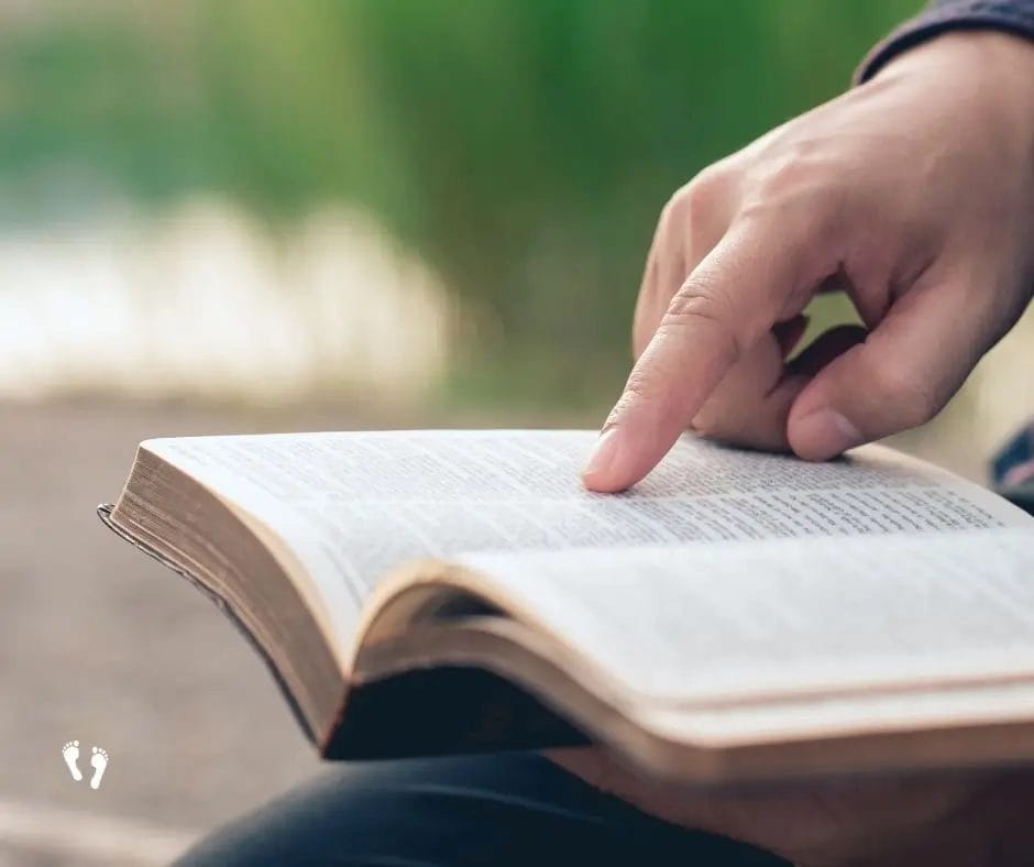 The Focus of Wisdom - Steps Towards Eternity Daily Devotional 10