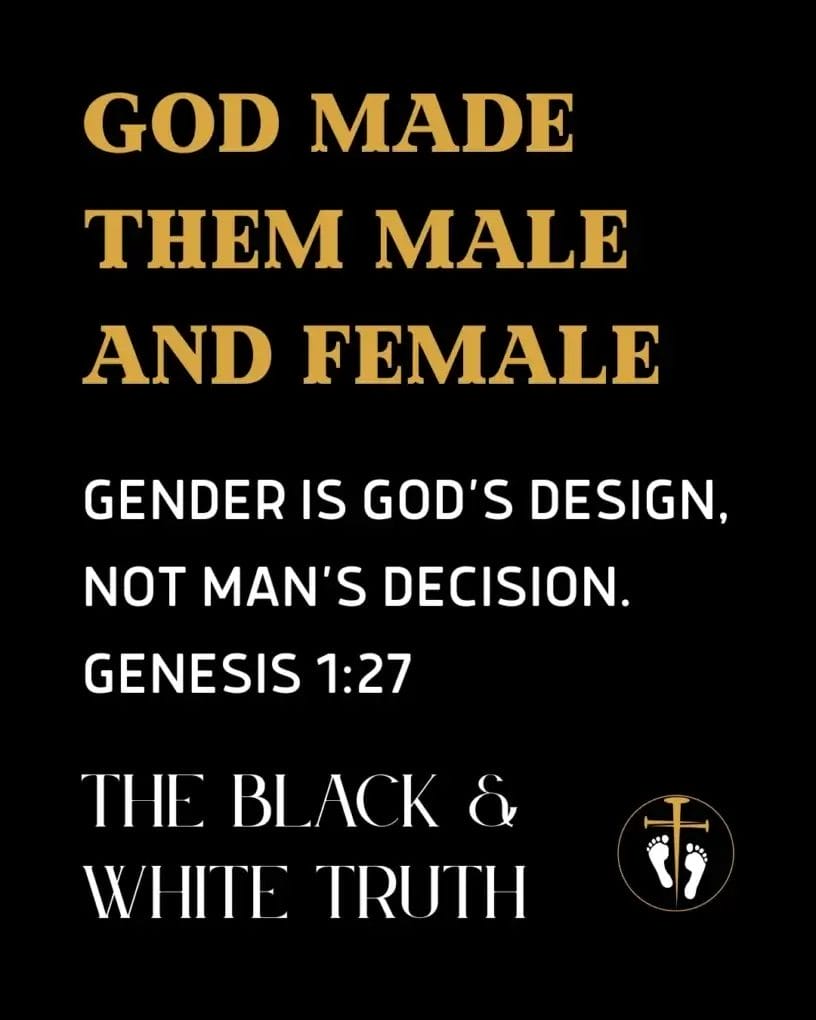 The Black & White Truth 21