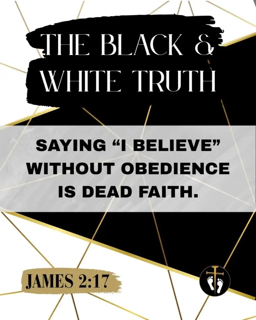 The Black & White Truth 9