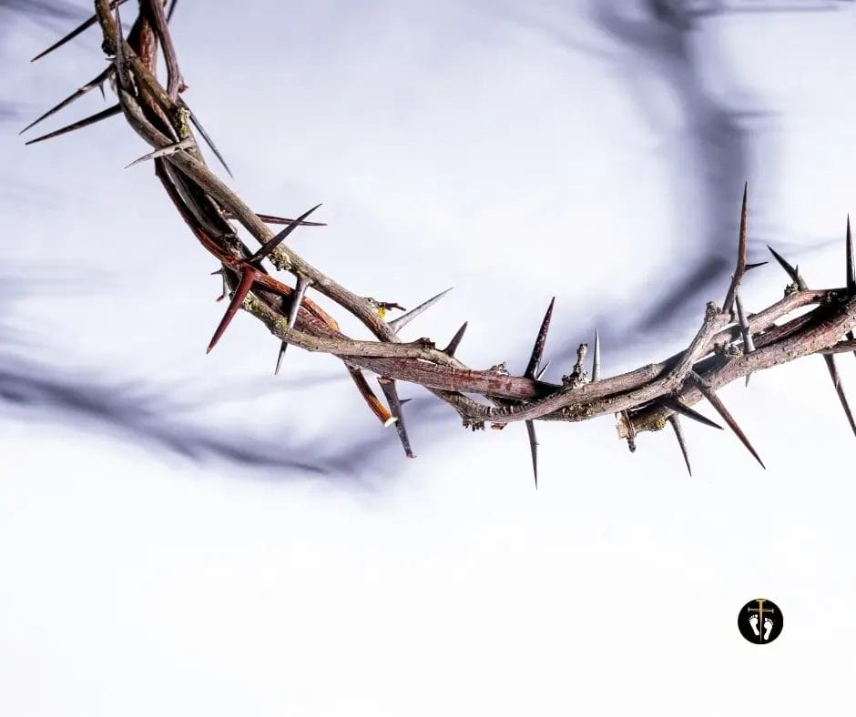 Christ Quiz — Who Does Scripture Say Jesus Is? 1