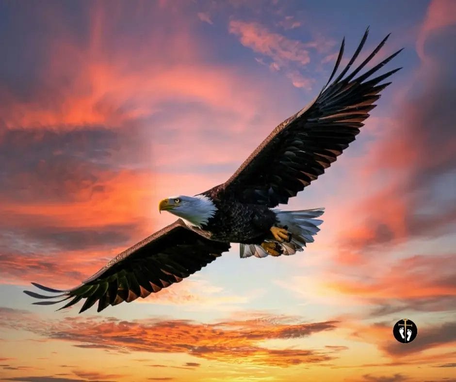 Bald eagle flying against a colorful sunset sky symbolizing strength, power, endurance, and reliance on God